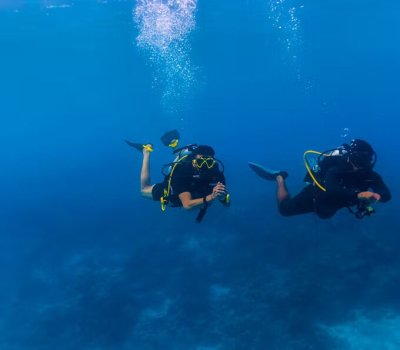 Scuba Diving