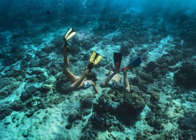 Snorkeling Safari