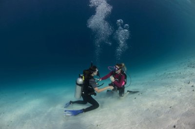 Scuba Diving (Dive Centre)