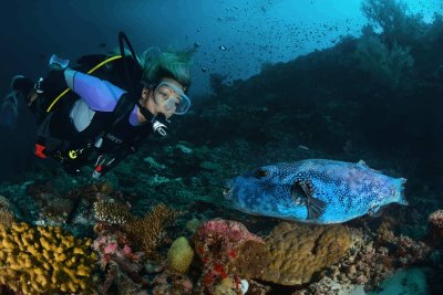 Diving & Snorkeling