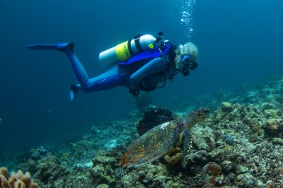 Scuba Diving Experience