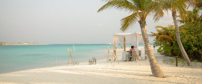 Private Beach Dinner